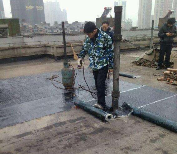 樓頂防水堵漏 樓頂防水堵漏