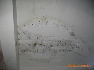 伸縮縫堵漏 伸縮縫堵漏